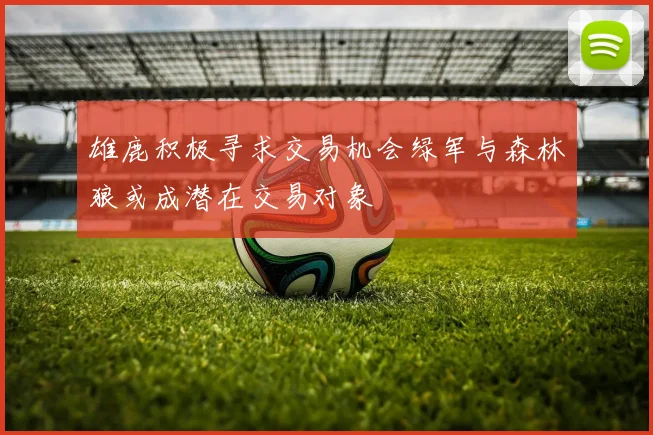 雄鹿积极寻求交易机会绿军与森林狼或成潜在交易对象