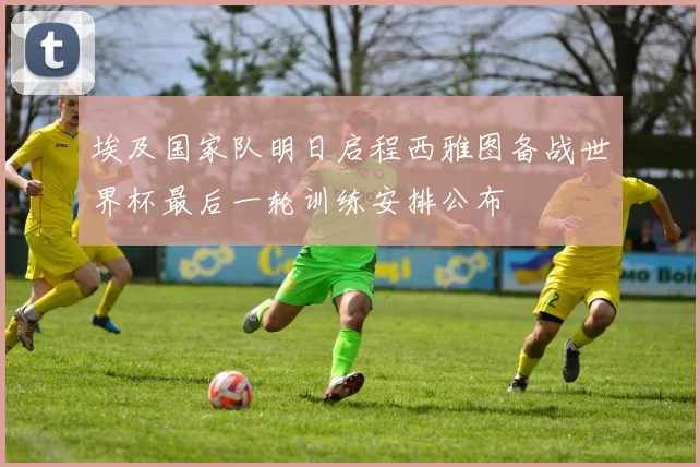 埃及国家队明日启程西雅图备战世界杯最后一轮训练安排公布